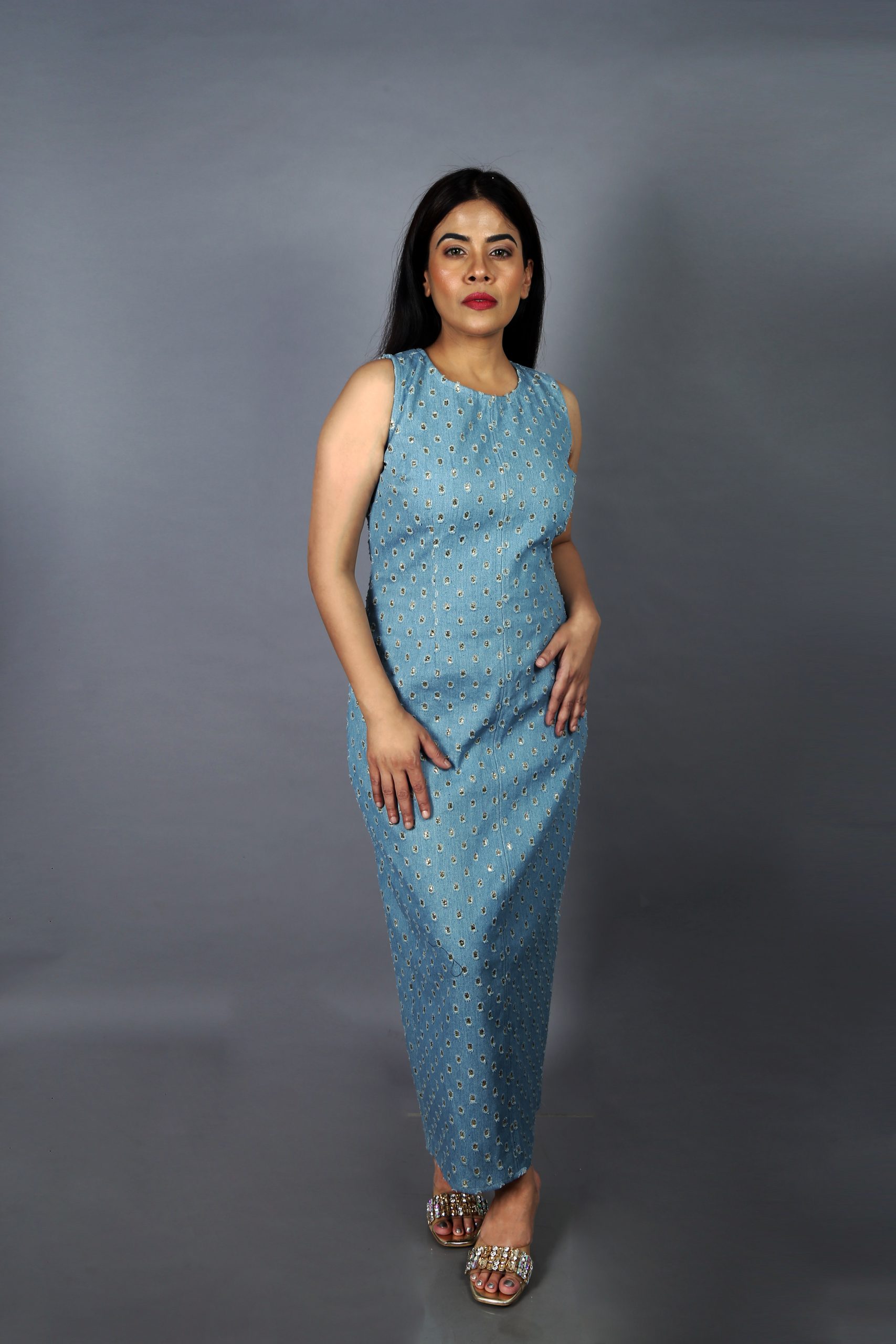 Imported Denim Dress